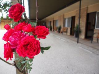 Motels For Sale - 1 large