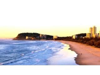 Management Rights For Sale - 1 large