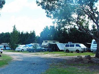 Caravan Parks For Sale - 1 large