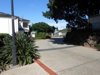 Management Rights For Sale - 1 large