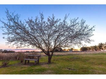 Motels For Sale - 1 large