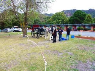 Motels For Sale - 1 large