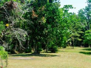 Caravan Parks For Sale - 1 large