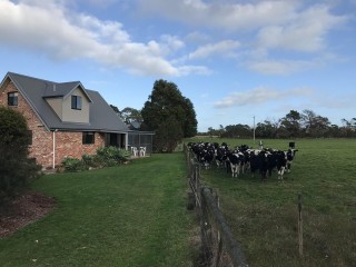 Motels For Sale - 1 large