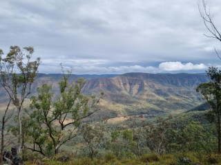 Management Rights For Sale - 1 large