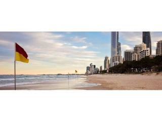 Management Rights For Sale - 1 large