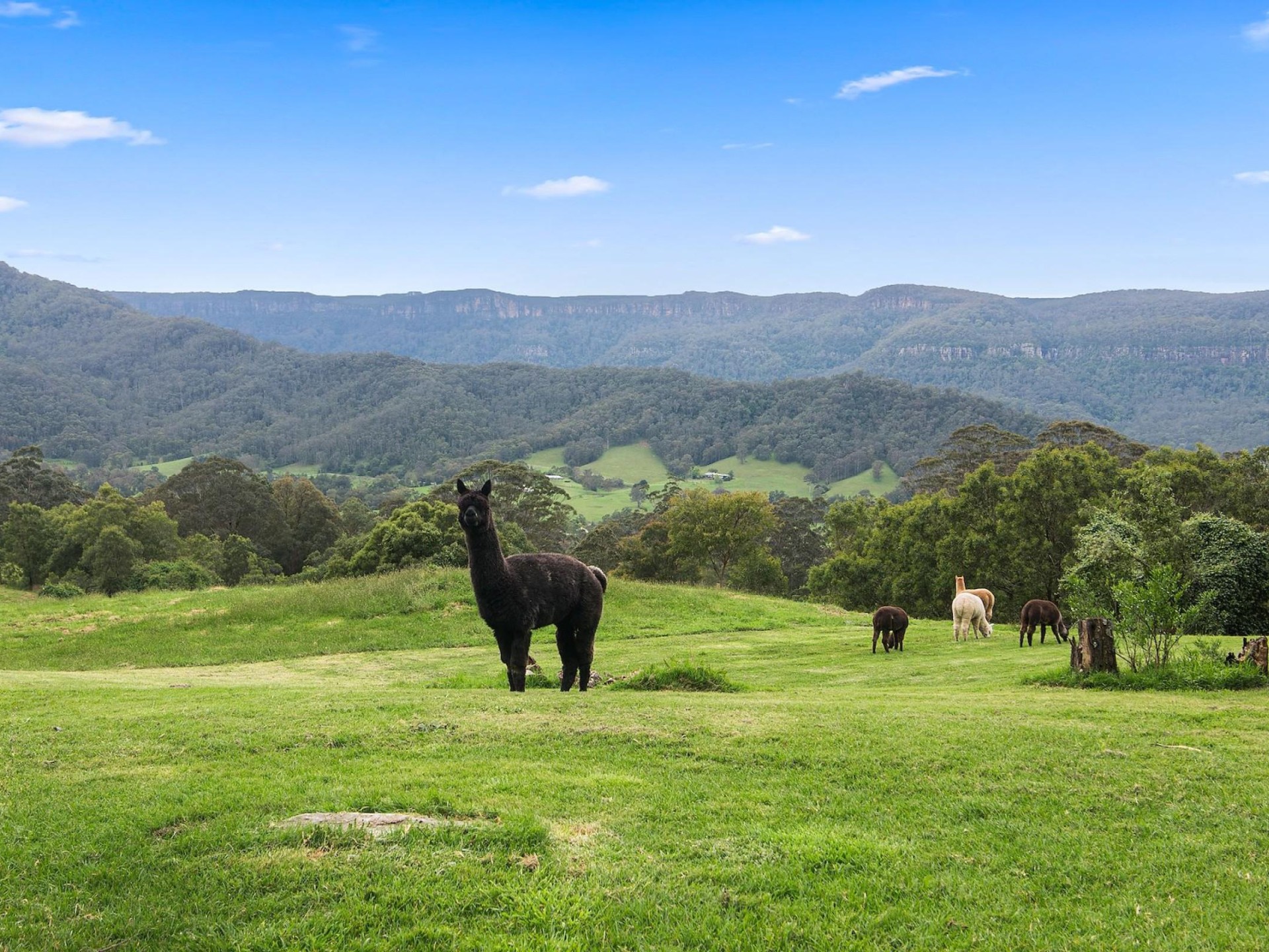 Guest House/B&B for sale  Barrengarry