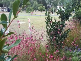 Caravan Parks For Sale - 1 large