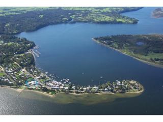 Management Rights For Sale - 1 large