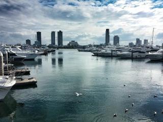 Management Rights For Sale - 1 large