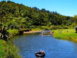 Caravan Parks For Sale - 1 large