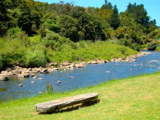 Caravan Parks For Sale - 1 large