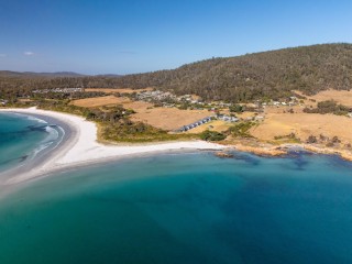 Management Rights For Sale - 1 large
