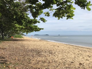 Management Rights For Sale - 1 large