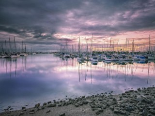 Management Rights For Sale - 1 large