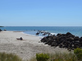 Caravan Parks For Sale - 1 large