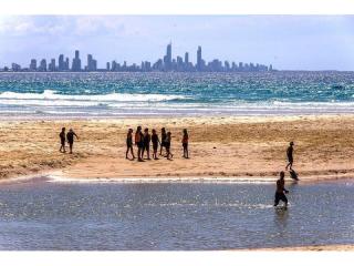 Management Rights For Sale - 1 large