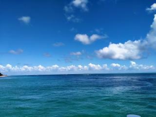 Management Rights For Sale - 1 large