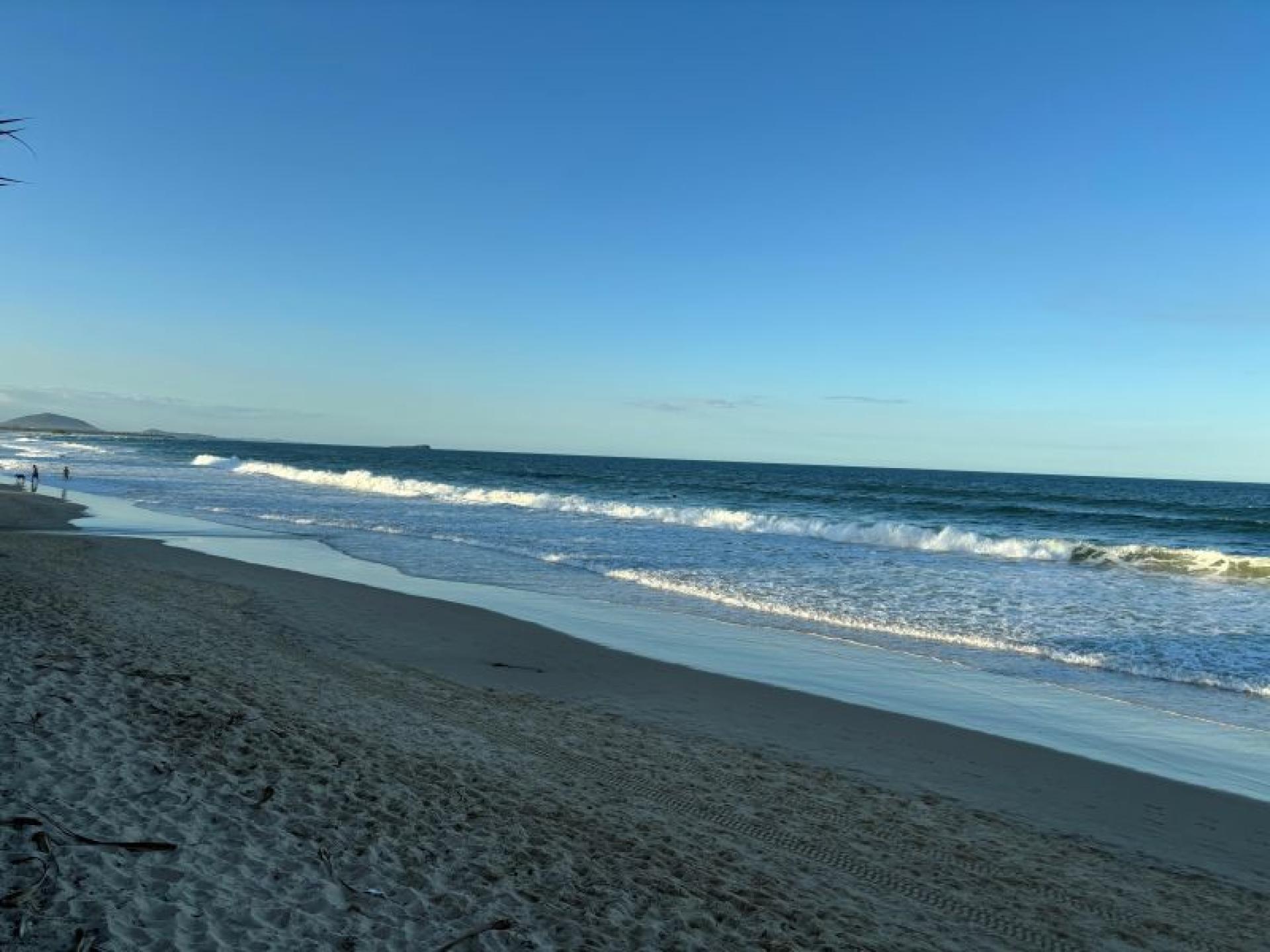 Management Rights for sale Surfers Paradise