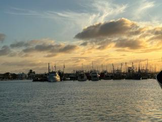 Management Rights For Sale - 1 large