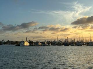 Management Rights For Sale - 1 large