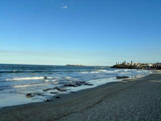 Management Rights For Sale - 1 large