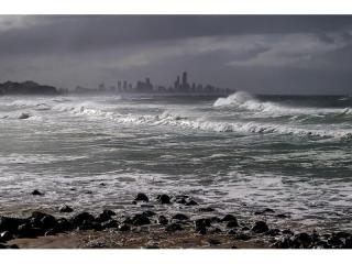 Management Rights For Sale - 1 large