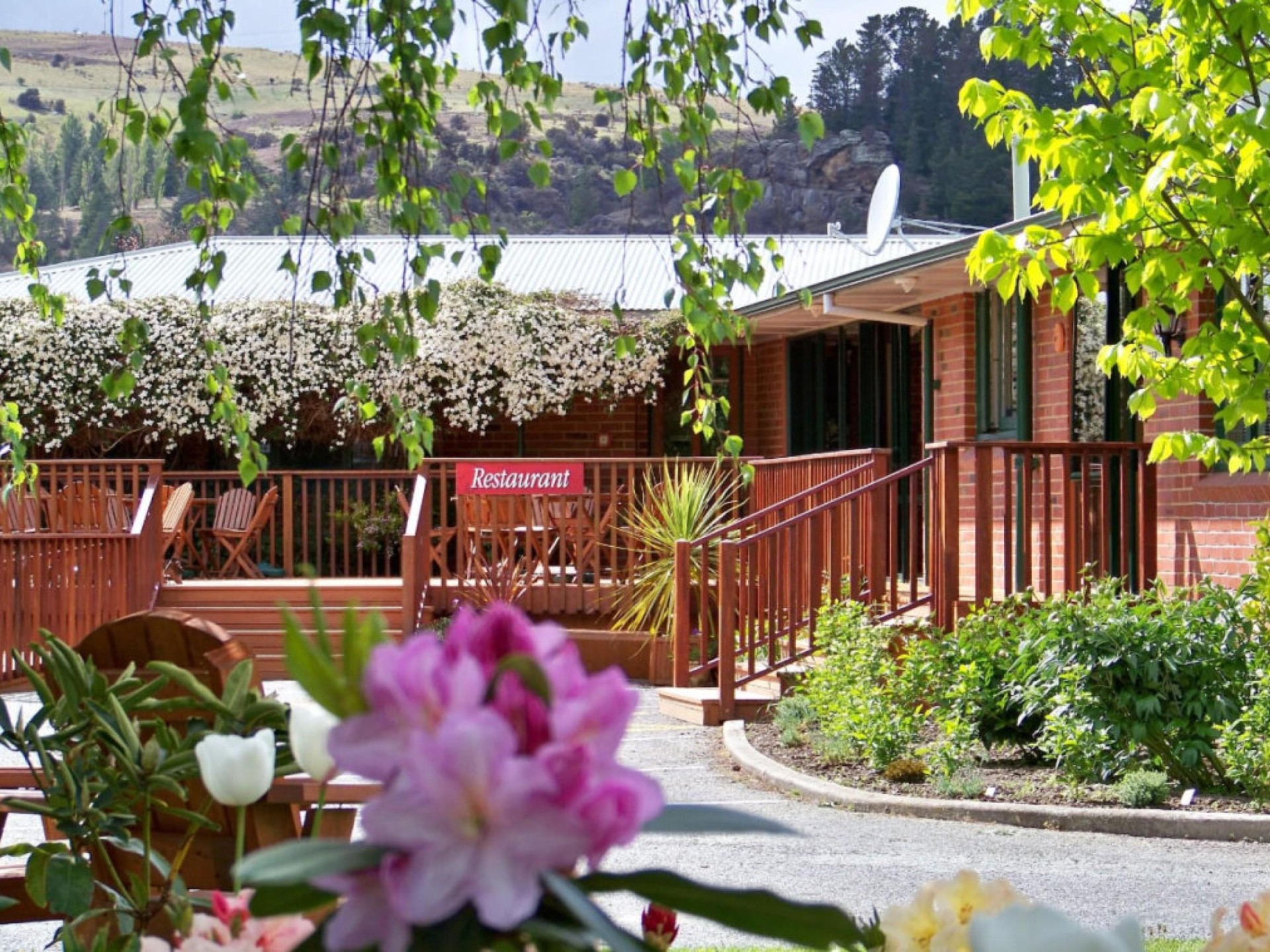 Cafe/Coffee Shop for sale Roxburgh