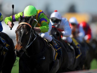 Motels For Sale - 1 large