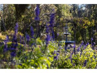 Motels For Sale - 1 large