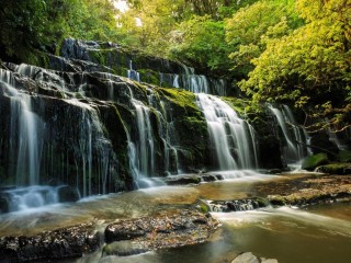 Management Rights For Sale - 1 large