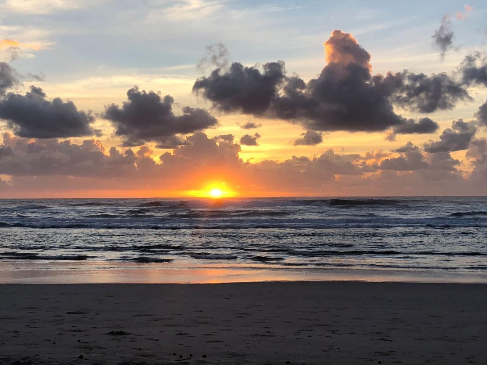 Management Rights for sale Burleigh Heads