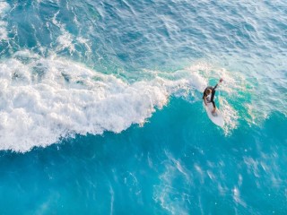 Management Rights For Sale - 1 large