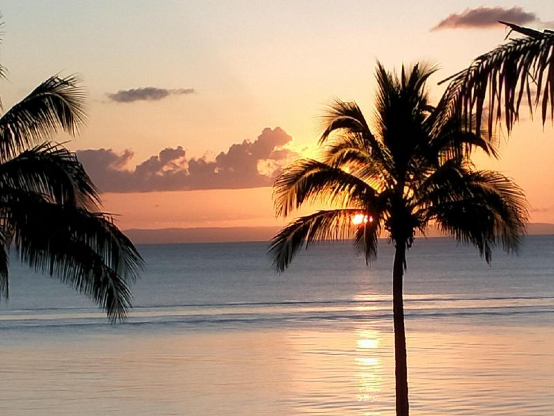 Management Rights for sale Surfers Paradise