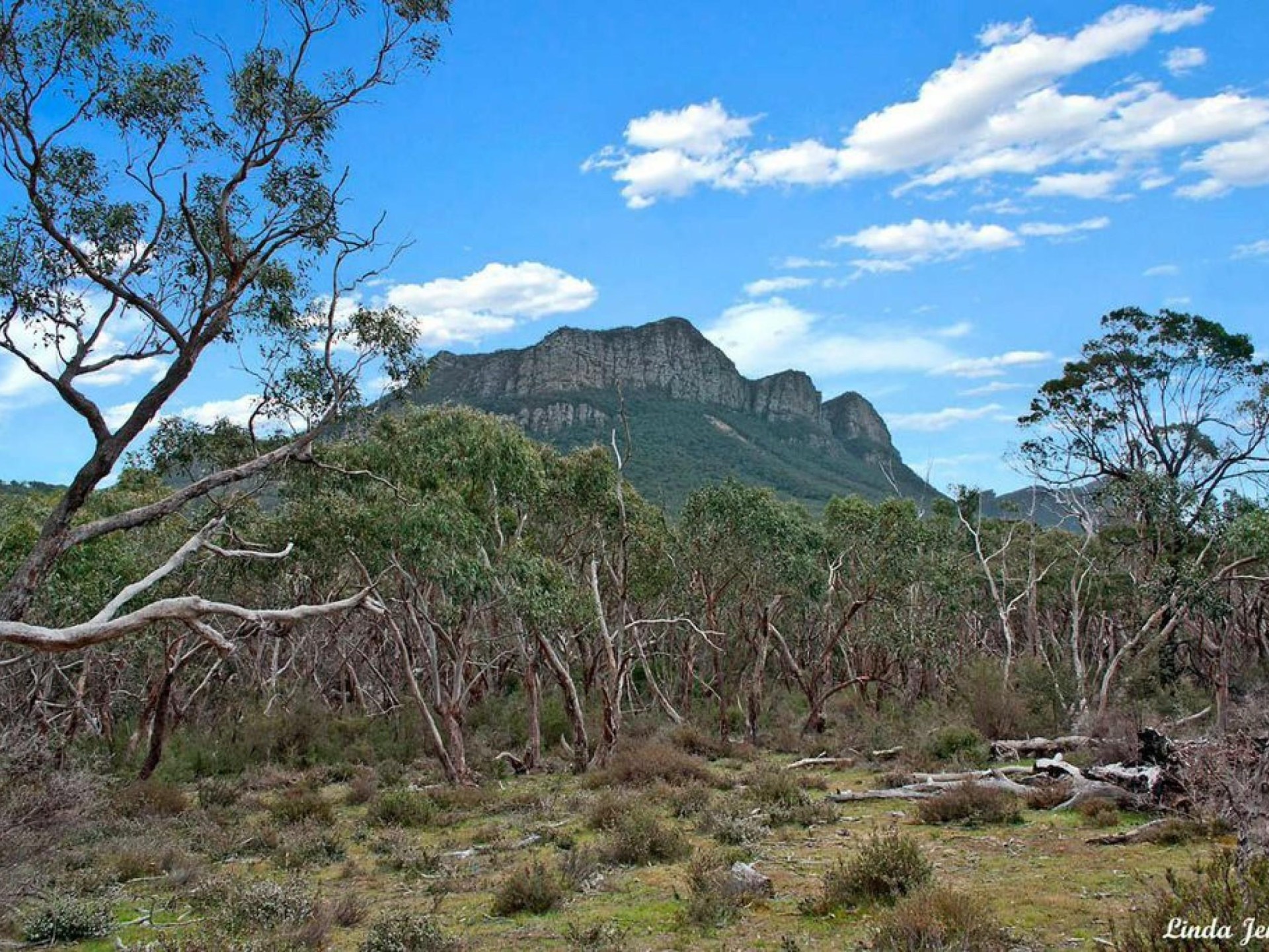 Educational for sale Vic Far Country                                    Region