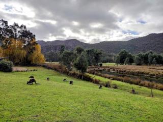 Motels For Sale - 1 large