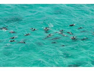 Management Rights For Sale - 1 large