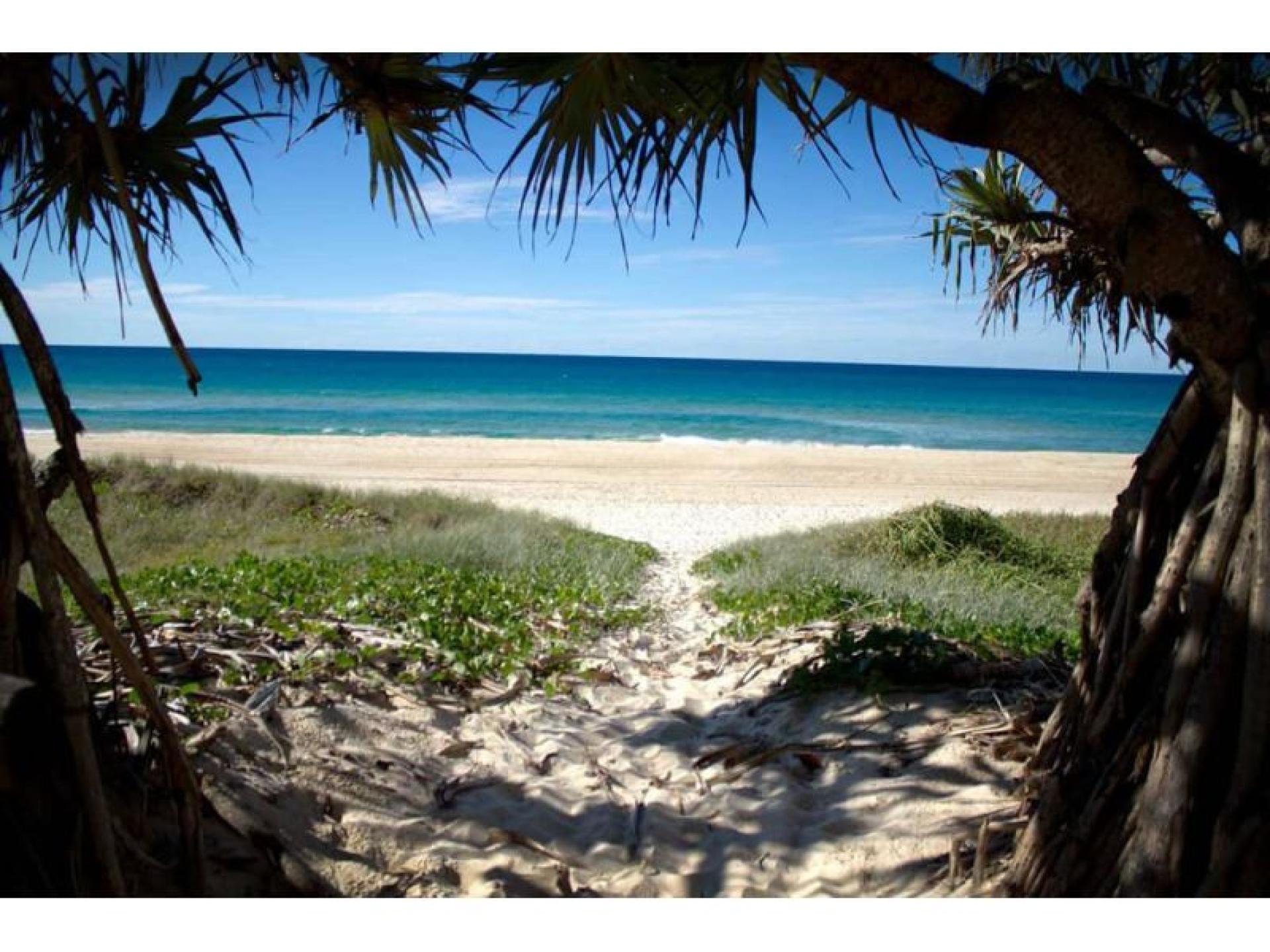 Management Rights for sale Tugun