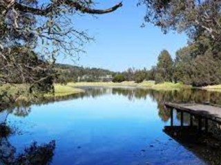 Management Rights For Sale - 1 large