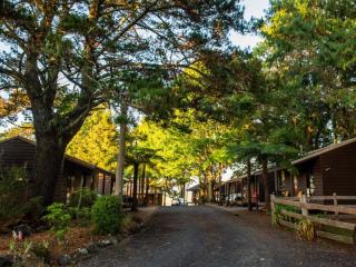 Caravan Parks For Sale - 1 large