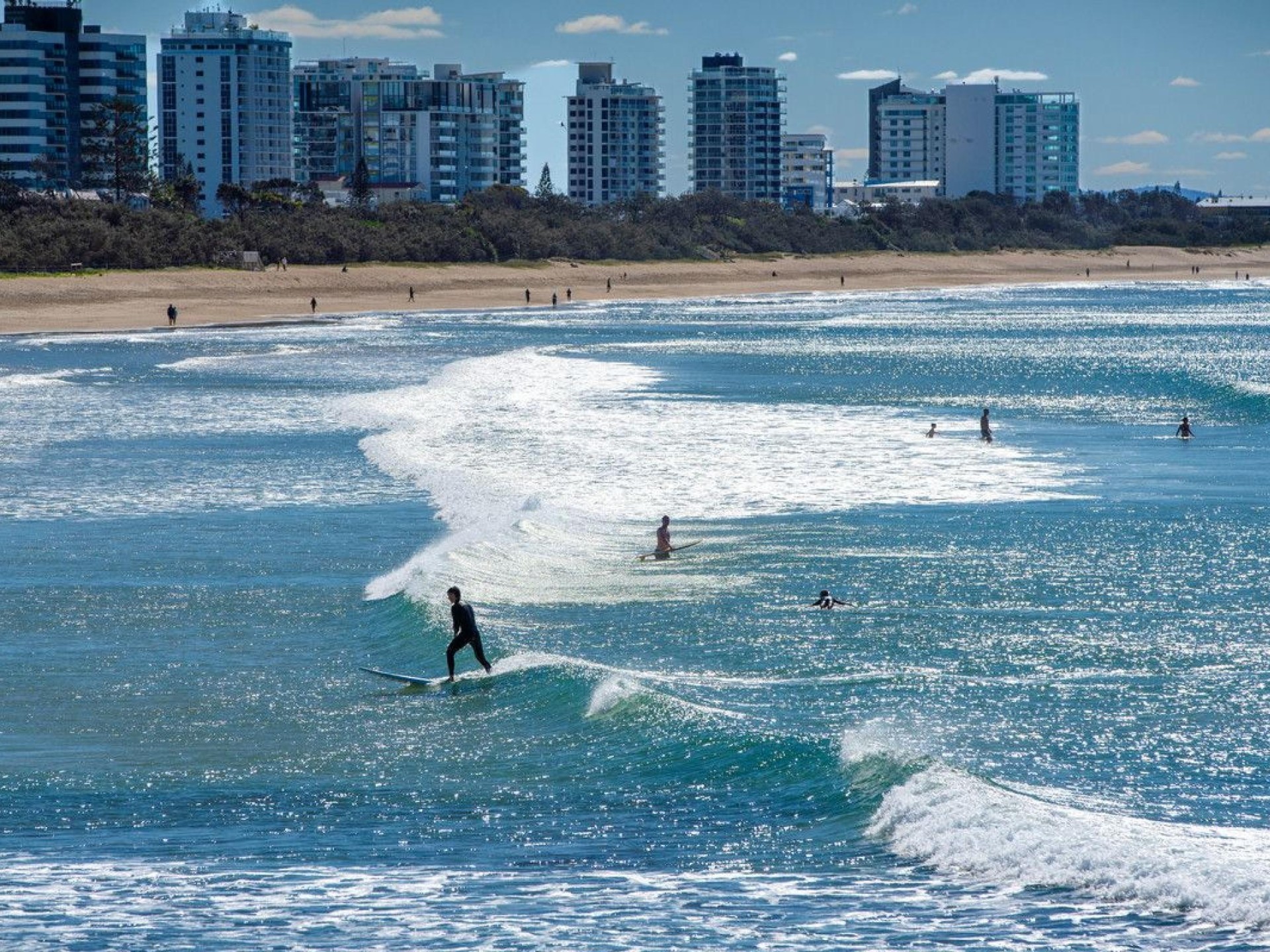 Management Rights for sale Alexandra Headland