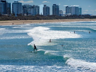 Management Rights For Sale - 1 large