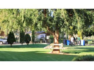 Caravan Parks For Sale - 1 large