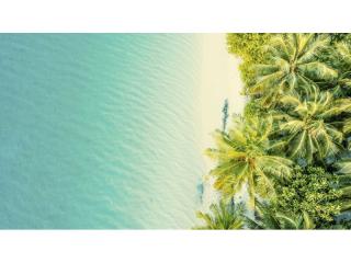 Management Rights For Sale - 1 large