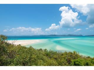 Management Rights For Sale - 1 large