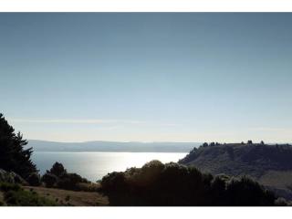 Management Rights For Sale - 1 large