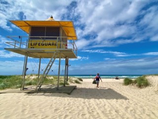 Partnership Potential!!