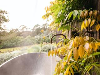 Management Rights For Sale - 1 large