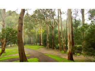Caravan Parks For Sale - 1 large