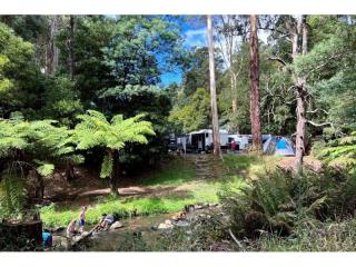 Caravan Parks For Sale - 1 large